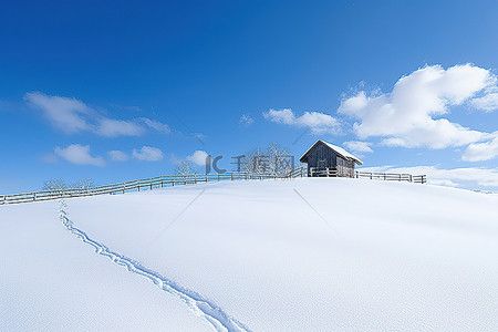 冬天雪原背景图片_天空是蓝色的
