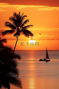 棕榈树背景图片_海上夕阳下的小船