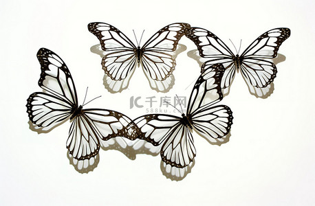 白色背景下的七个白色蝴蝶翅膀