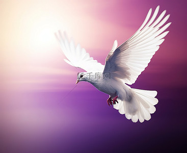 紫色背景中飞翔的白鸽，翅膀为蓝色和白色
