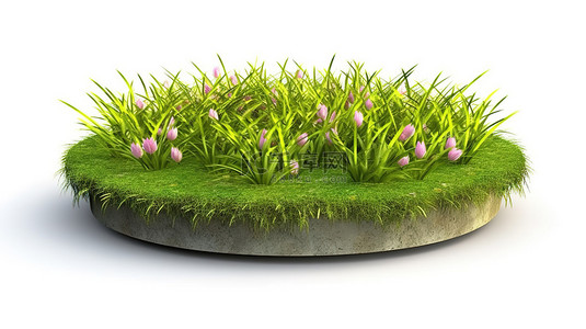 白色背景上绿草和花朵的圆形斑块的孤立 3D 插图