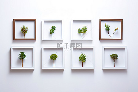 白鞋背景图片_白墙上有五个木框，里面有植物