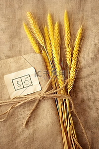 耳朵的奥秘背景图片_一束带有标签的小麦