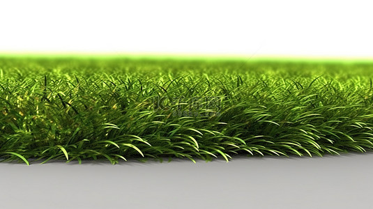 边缘不均匀的绿草草坪的 3d 插图