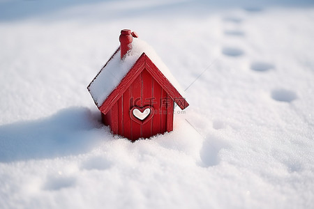 心上的鸟屋和雪中的红房子