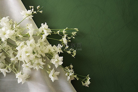 白色的花朵背景图片_白色的花朵，绿色的纸包裹在绿色的床单上