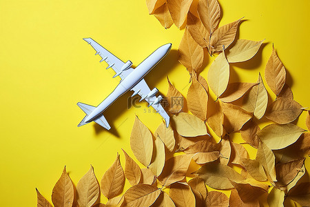 黄叶不断背景图片_黄叶上的飞机