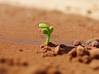 一粒绿芽在泥土里发芽
