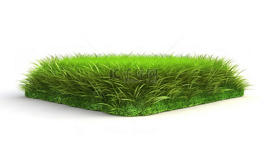 花木修剪背景图片_白色背景与修剪精美的绿色草坪的 3D 渲染