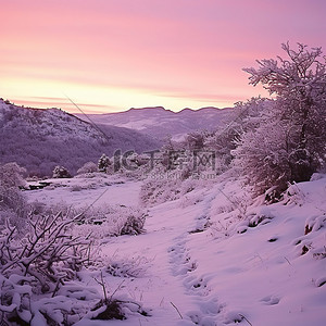 内布拉斯加州东北部山区冬季野猫山口上方的日出