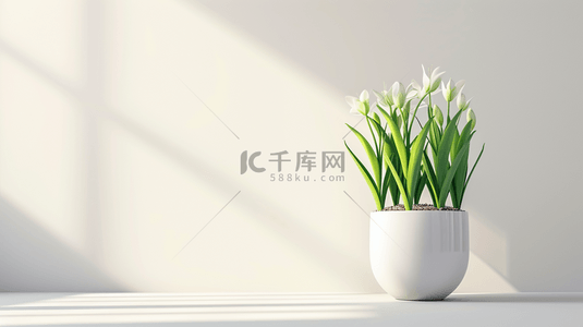 室内盆栽背景图片_白色简约室内场景清新花瓶盆栽的背景1