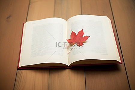 书背景图片_木地板上放着一本有红叶的书