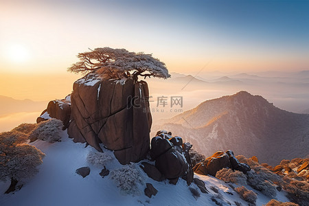 大雪背景图片_山顶上有一块岩石，上面有一棵大雪覆盖的树