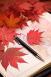 一张有叶子和一支笔的旧地图