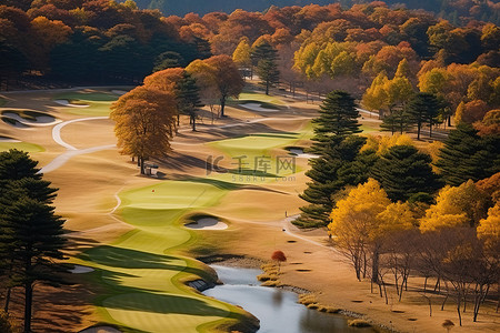 乡村振兴免费背景图片_秋天的高尔夫球场，背景是树木