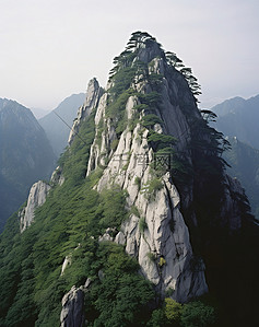 落基山背景图片_一座被树木覆盖的巨大落基山的山顶
