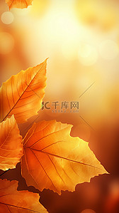 红色黄色枫叶背景图片_秋天落叶黄色