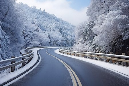 郑成功收复台湾背景图片_台湾冬季积雪树木的道路