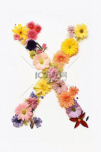 白色背景字母 x 上的花