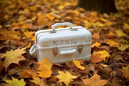 秋叶收藏桌上的手提箱