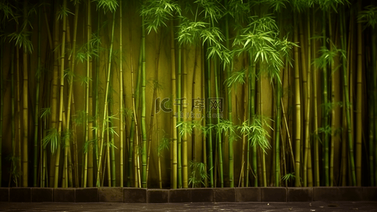 竹子绿色竹子竹叶背景