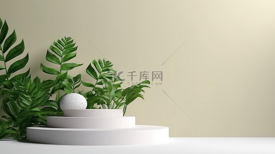 自然环境 3D 渲染中时尚简约的植物讲台