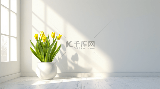室内盆栽背景图片_白色简约室内场景清新花瓶盆栽的背景17