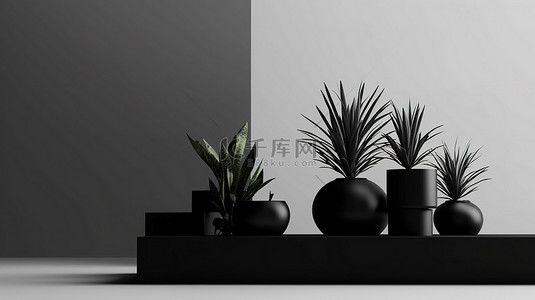 简约时尚黑色背景背景图片_黑色植物架的时尚 3D 渲染，具有简约的触感
