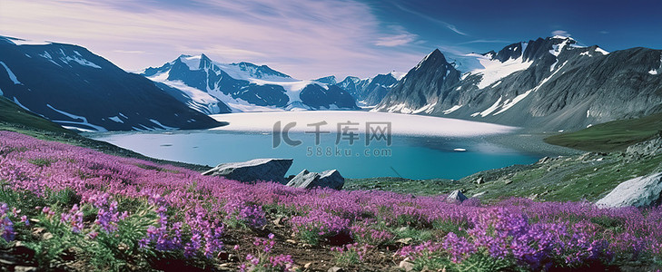 开着的背景图片_开着紫色花朵的冰川，俯瞰着湖泊