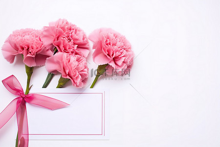 感谢粉色背景图片_感谢卡和粉红色康乃馨