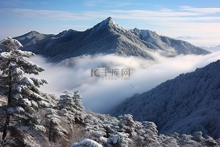 冬天雪景和人背景图片_白雪覆盖了树木，云彩笼罩着山峰和河流