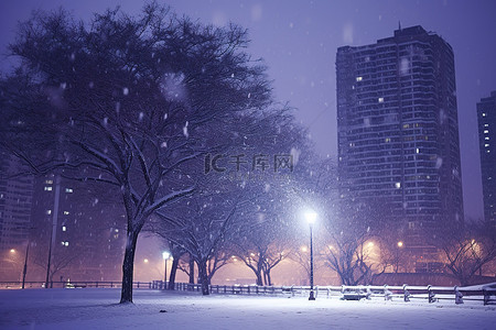 雪街道背景图片_当雪从摩天大楼落下时，一棵树和路灯