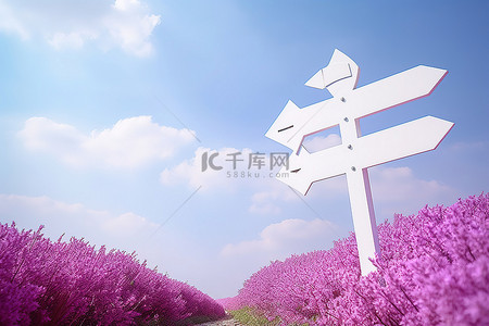 粉红色花背景背景图片_粉红色花田附近有各种方向的白色路标