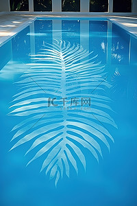 游泳背景图片_游泳池上的棕榈油棕榈叶
