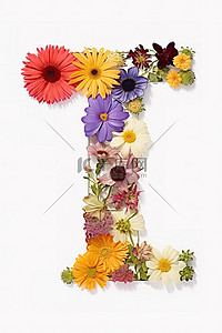 英语艺术背景图片_花朵中的字母表 数字摄影 数字艺术 数字艺术
