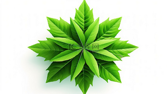 字效果背景图片_绿色叶子星号隔离在白色背景上的 3d 符号