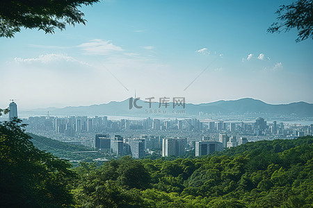 林区背景图片_从林区看首尔市