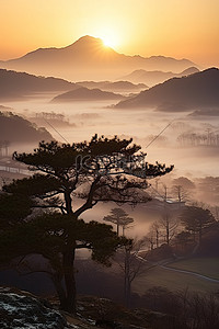 树顶背景图片_韩国山树顶和山谷的日落