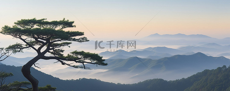 公园的早晨景背景图片_山景中的松树