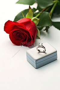 订婚戒指盒和白色表面上的玫瑰