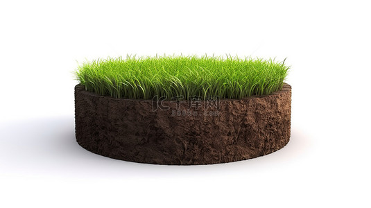草原上背景图片_白色背景 3D 渲染上郁郁葱葱的绿色植物的圆形地球