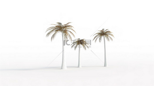 椰叶椰子背景图片_在干净的白色背景下以 3D 渲染的三棵棕榈树