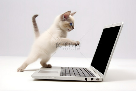 小猫正在白色笔记本电脑旁边抓老鼠