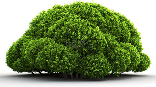 生态友好的景观设计对象 3D 图像，具有白色背景和郁郁葱葱的绿色灌木