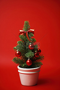 红色小盆里的一棵小圣诞树