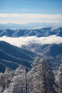 冬季白雪覆盖的烟雾缭绕的山脉