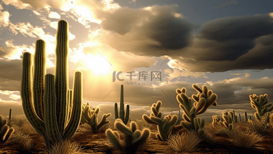 落日太阳背景图片_沙漠太阳天空植物沙子真实背景
