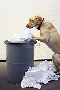 一只白色和棕色的狗正在看着一个黑色的垃圾桶