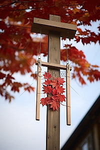 悬挂夹子背景图片_红色的枫叶悬挂在木架上