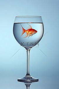 金酒杯背景图片_一条金鱼在酒杯里的水中游泳